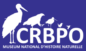 CRBPO